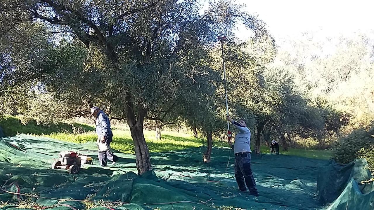 Eleas Gi Villa Vitaládes Buitenkant foto