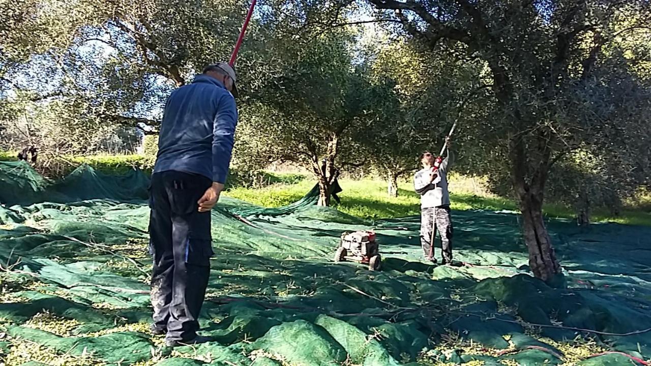 Eleas Gi Villa Vitaládes Buitenkant foto